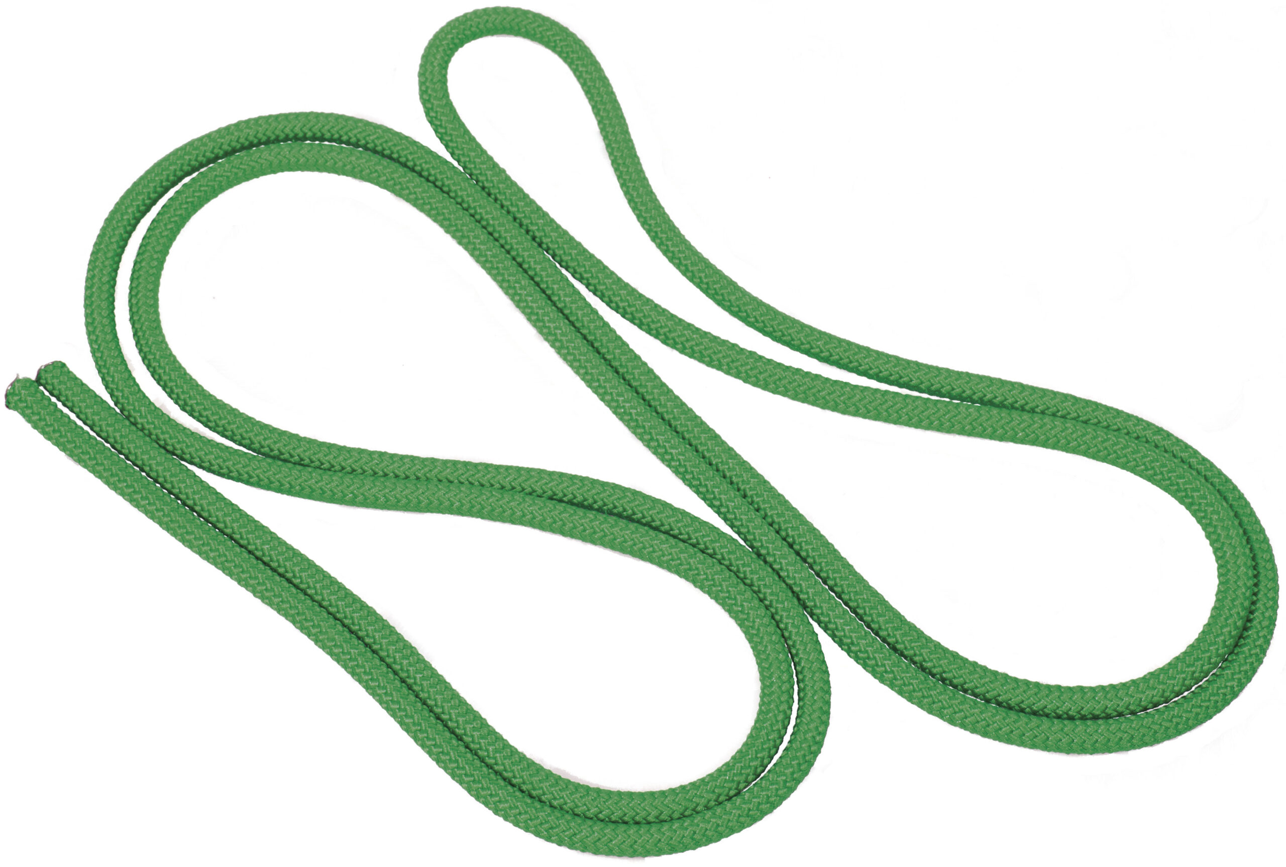 4804006.jpg