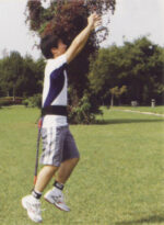 High Jumping Trainer - Image 2