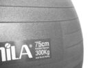 Μπάλα γυμναστικής AMILA GYMBALL 75cm Γκρι - Image 2